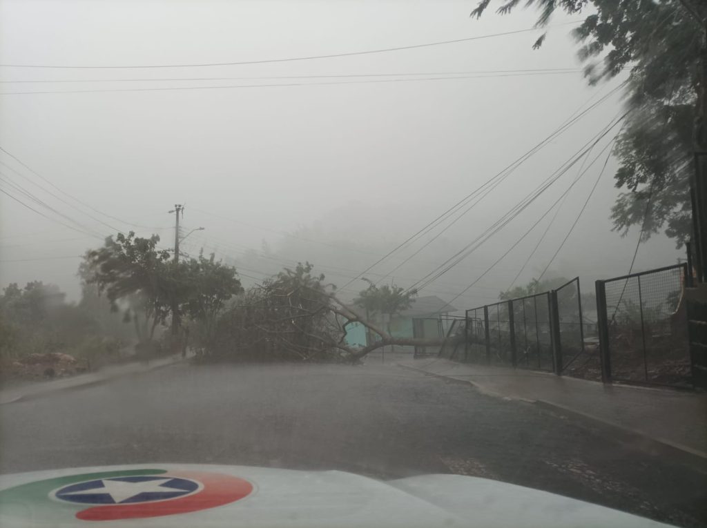 Ventos fortes provocam danos em Arvoredo