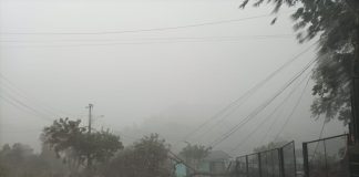 Ventos fortes provocam danos em Arvoredo