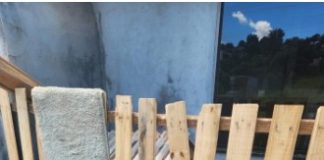 Cachorro é morto após atacar pessoas em Xanxerê