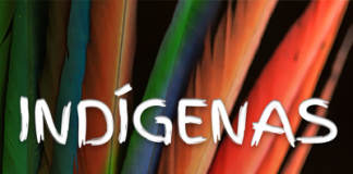 MPF obtém decisão para eliminar arrendamento e plantio de transgênicos em terras indígenas no Oeste de SC