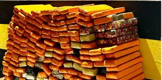 Grande carregamento de maconha, que tinha destino a Xanxerê, é interceptado