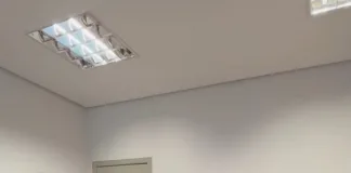 Massocco e Ferri protocolam três importantes projetos na Câmara