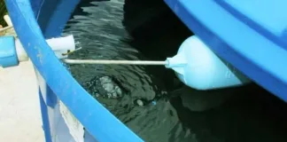 Limpeza de caixas d'água é orientação para evitar viroses em Seara