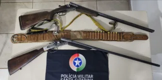 Homem é preso por porte ilegal de armas e munições em Chapecó