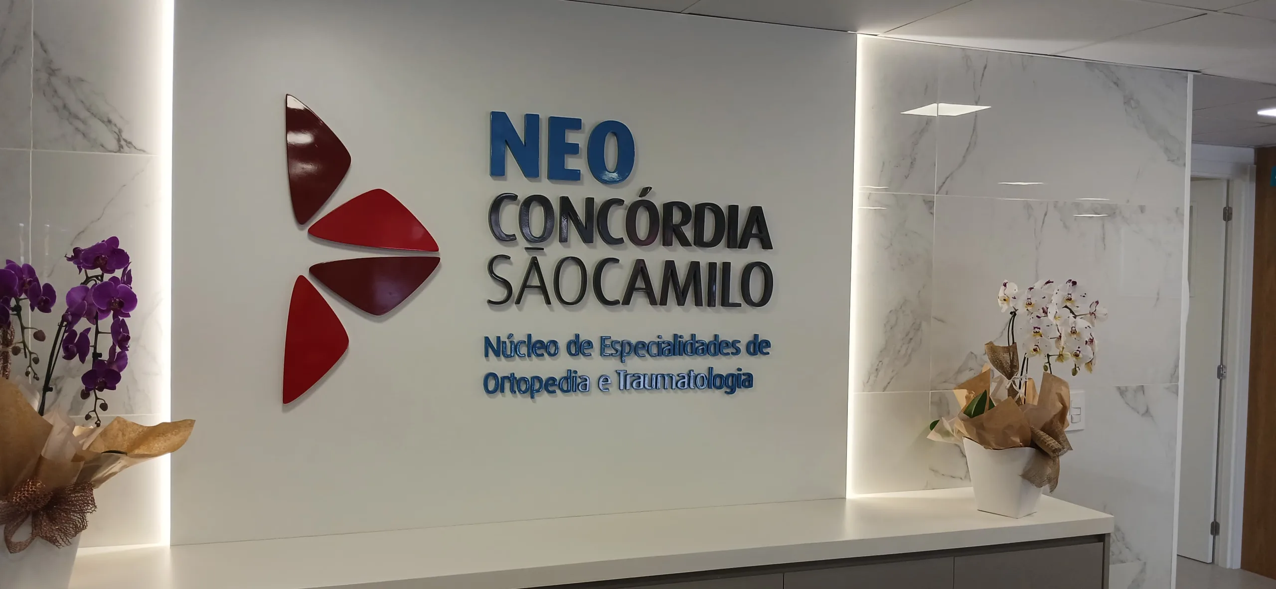 São Francisco Hospital Ortopedia E Traumatologia