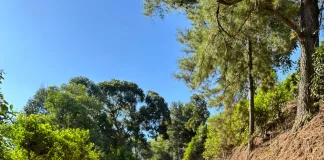 Cascalhamento é realizado em linha São Miguel, interior de Xavantina