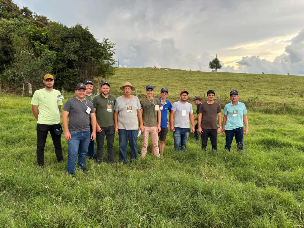 Produtores de Seara participam de Dia de Campo sobre Produção Intensiva de Bovinos de Corte