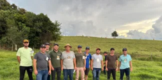 Produtores de Seara participam de Dia de Campo sobre Produção Intensiva de Bovinos de Corte