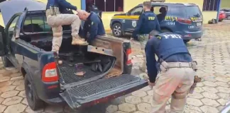 PRF apreende em Chapecó 56k de maconha e arma em camionete