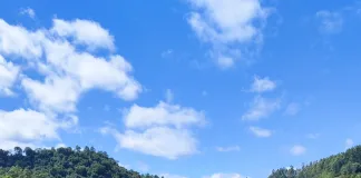 Homem fica gravemente ferido ao ser atingido por árvore em Cunha Porã