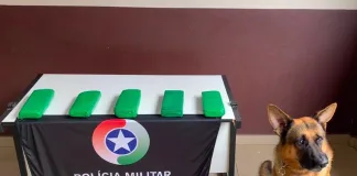 PM localiza maconha escondida dentro de veículo em Chapecó