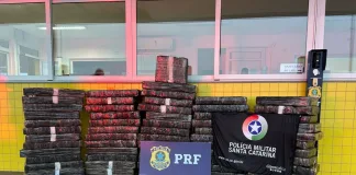 Ação conjunta apreende 720 kg de maconha em Joaçaba