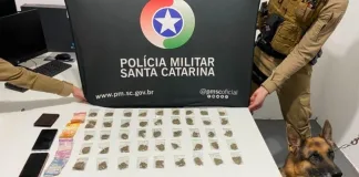 Dois homens são presos por tráfico de drogas em Chapecó