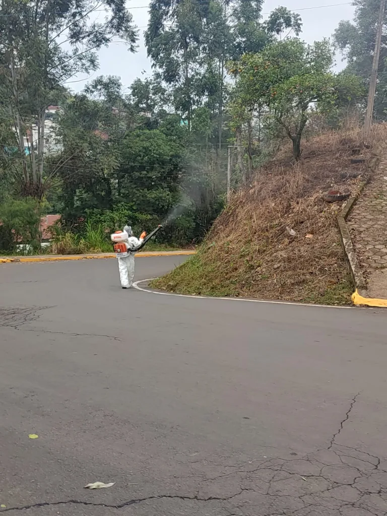 Fumacê é aplicado em alguns locais de Seara