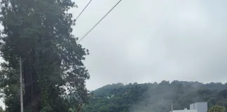 Fumacê é aplicado em alguns locais de Seara