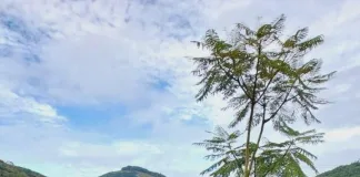 Corpo de mulher desaparecida há 9 dias é encontrado no Goio-Ên