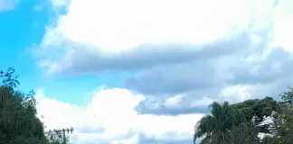 Indígenas bloqueiam rodovia de acesso a Paial