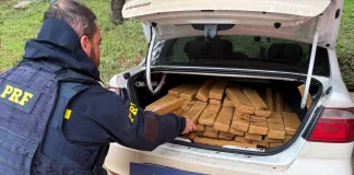 PRF apreende mais de 350 quilos de maconha em duas ocorrências no Oeste de SC
