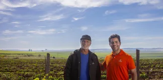 Cresol encerra Plano Safra 24/25 com R$ 13 bi e projeta novo recorde de crédito rural