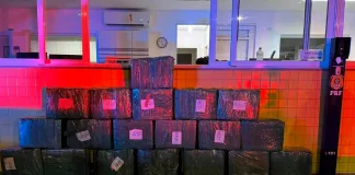 Ação conjunta da PRF e PMRv apreende 330 quilos de maconha e recupera picape roubada na BR-153