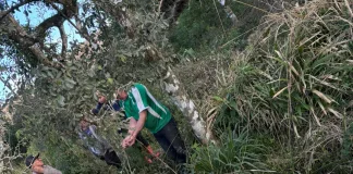 Bombeiros resgatam cavalo em Ponte Serrada