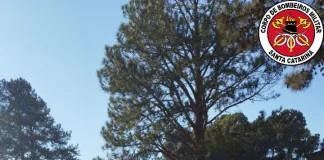 Acidente na BR-470 em Campos Novos deixa dois óbitos