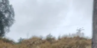 Veículo com quatro ocupantes capota várias vezes ao sair da pista em Quilombo