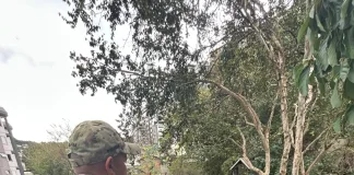 PRF recupera parte de carga de carne roubada após perseguição no Meio-Oeste