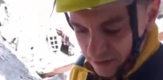 Cão é resgatado de casa atingida por deslizamento de terra