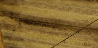 Homem morre em queda de altura no Oeste de SC