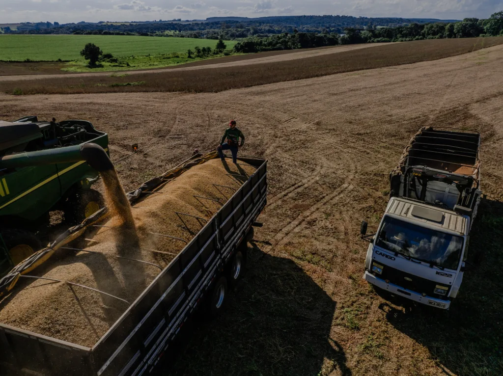 Todos os principais produtos da safra apresentaram alta na produção: arroz (+12,2%), feijão (+14,1%), milho (+24,7%), soja (+19,1%) e trigo (+40,5%) (Fotos: Marco Fávero // SECOM)