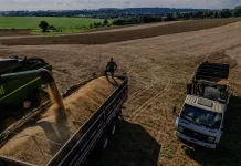 Aumenta projeção de produção de milho no mundo (Agro) Todos os principais produtos da safra apresentaram alta na produção: arroz (+12,2%), feijão (+14,1%), milho (+24,7%), soja (+19,1%) e trigo (+40,5%) (Fotos: Marco Fávero // SECOM)
