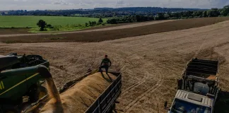 Todos os principais produtos da safra apresentaram alta na produção: arroz (+12,2%), feijão (+14,1%), milho (+24,7%), soja (+19,1%) e trigo (+40,5%) (Fotos: Marco Fávero // SECOM)