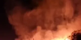 Bombeiros combatem incêndio em vegetação no interior de Concórdia