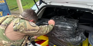 PRF intercepta 200 quilos de maconha e skunk em Chapecó