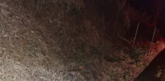 Jovem morre em acidente na SC-161 em Palma Sola