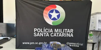 Jovem é apreendido por tráfico de drogas em Chapecó