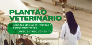 Empresa Progênita assume o Plantão Veterinário de Arvoredo
