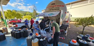 Novos investimentos são realizados para o Programa de Melhoramento Genético em Seara