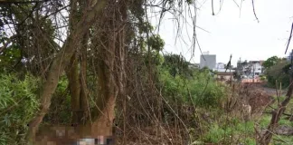 Adolescente é apreendido por homicídio em Chapecó