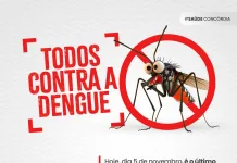 Mutirão de limpeza no cemitério contra a dengue em Concórdia