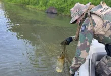 PMA de Chapecó faz apreensão de redes de pesca no rio Uruguai