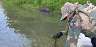 PMA de Chapecó faz apreensão de redes de pesca no rio Uruguai