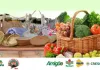 Feira Regional da Agricultura Familiar também é transferida em Seara
