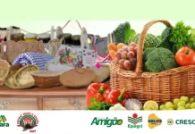 Feira Regional da Agricultura Familiar também é transferida em Seara