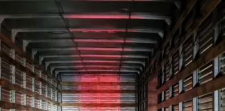 PRF apreende cinco toneladas de camarão contrabandeado e prende três pessoas na BR-282