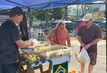 Feiras da Agricultura Familiar reúnem grande público na Praça Henriqueta Zanuzzo em Seara