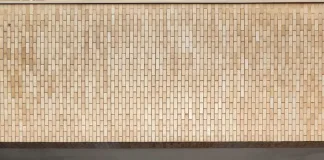 Taekwondo de Seara se destaca em competição no RS