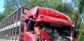 Caminhão com falha nos freios invade cemitério em Xavantina