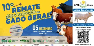 Remate de Gado Geral será hoje em Seara